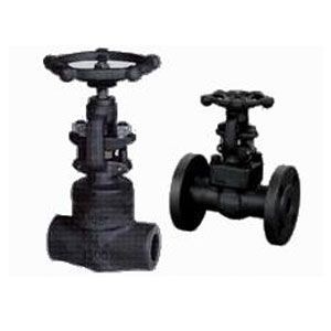 Z11Y~Z41Y���m���z�����l�y